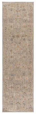 SAFAVIEH Whitney Teuntje Bohemian & Eclectic Rug