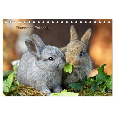 Flauschige Fellknäuel (Tischkalender 2026 DIN A5 quer), CALVENDO Monatskalender