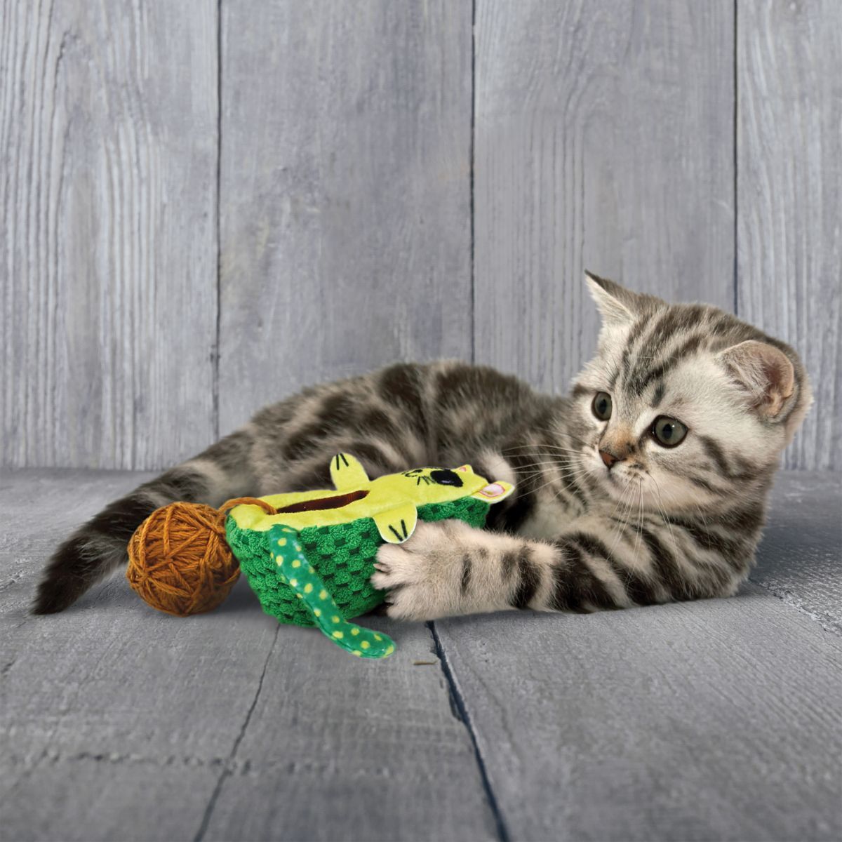 Gioco Gatto Kong Wrangler Avocato 1PZ