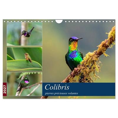 Colibris - pierres précieuses volantes (Calendrier mural 2027 DIN A4 vertical), CALVENDO calendrier mensuel