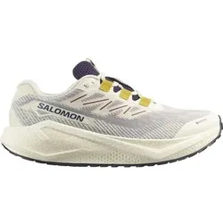 SALOMON Herren Laufschuhe SHOES AERO BLAZE 3 GRVL GTX Vanila/Astra, Größe 48 in Braun Braun