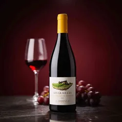 Le Clos de Quarteron 2021 Saint Nicolas de Bourgueil (Amirault) Les Gravilices 2021 Cabernet Franc Frankreich