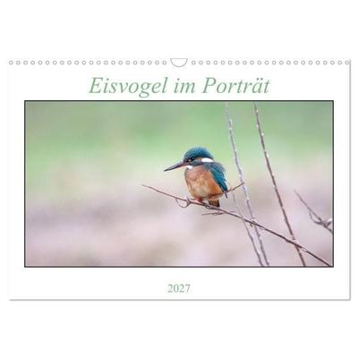 Eisvogel im Porträt (Wandkalender 2027 DIN A3 quer), CALVENDO Monatskalender