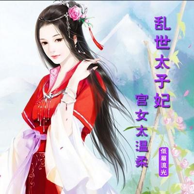 乱世太子妃：宫女太温柔 - 低眉流光, Audio, 4069828018624