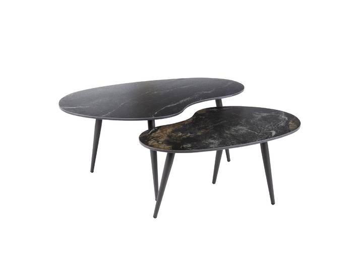 Clemento Fossil Couchtisch nierenförmig Set