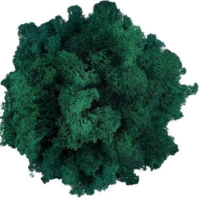 Inspire Select Artificial Reindeer Moss Decor Faux Green Moss For Crafts, Potted Plants & Wall Art dark Green 0.7 Oz