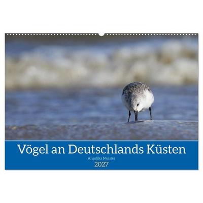 Vögel an Deutschlands Küsten (Wandkalender 2027 DIN A2 quer), CALVENDO Monatskalender