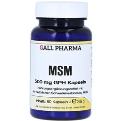 MSM 500 mg GPH Kapseln 60 St