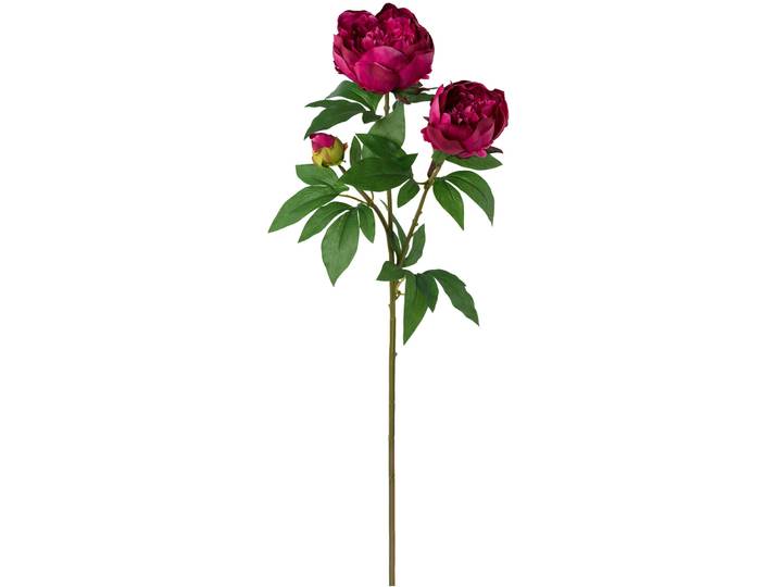 Kunstblume Peonie H70cm dunkelrot - Material: Kunststoff - Kunstblume