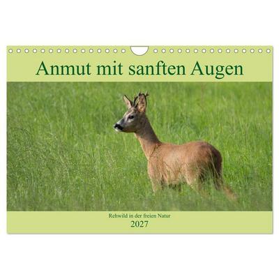 Anmut mit sanften Augen - Rehwild in der freien Natur (Wandkalender 2027 DIN A4 quer), CALVENDO Monatskalender