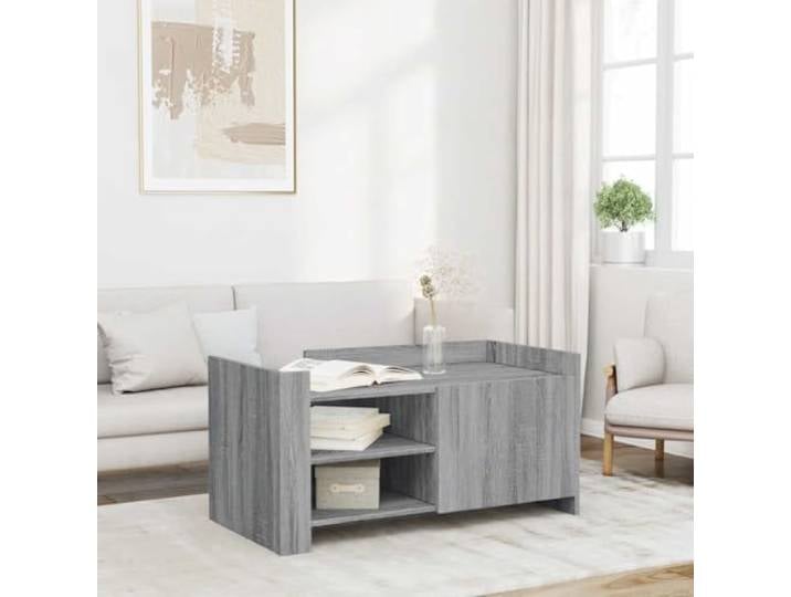 HEFZGDB Grauer Couchtisch Sonoma 100x50x50 cm aus Holzwerkstoff mit praktischer Tür und reichlich Stauraum, stabile Tischplatte, Zwei Montagemöglichkeiten für Ihr Wohnzimmer,