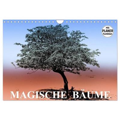 Magische Bäume (Wandkalender 2026 DIN A4 quer), CALVENDO Monatskalender