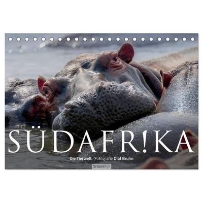 Südafrika - Die Tierwelt (Tischkalender 2026 DIN A5 quer), CALVENDO Monatskalender