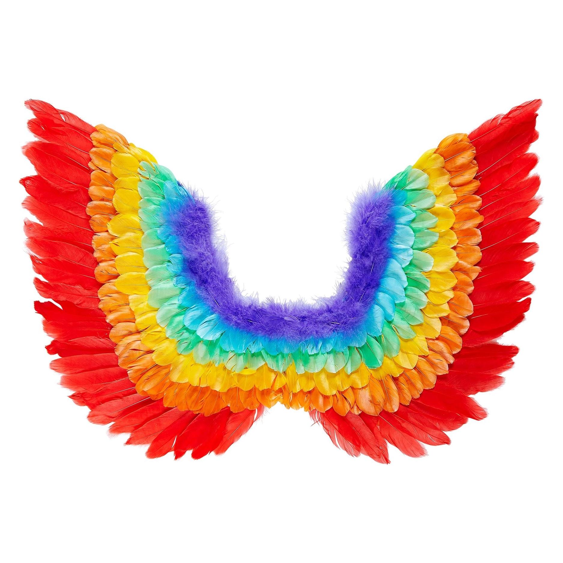 Widmann Rainbow Neon Federflügel 60x40cm (WI00649)