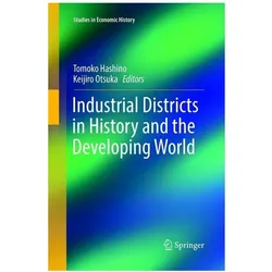Industrial Districts in History and the Developing World, Fachbücher von Keijiro Otsuka, Tomoko Hashino
