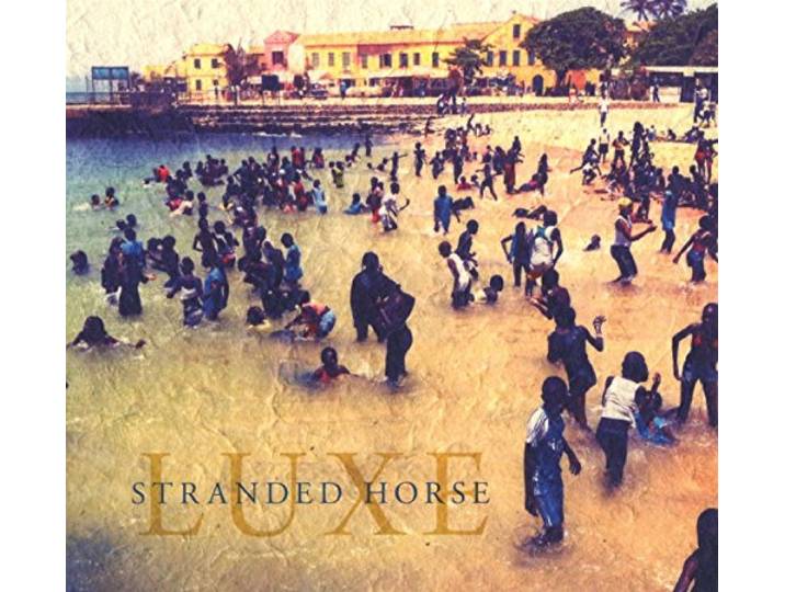 Stranded Horse - Luxe