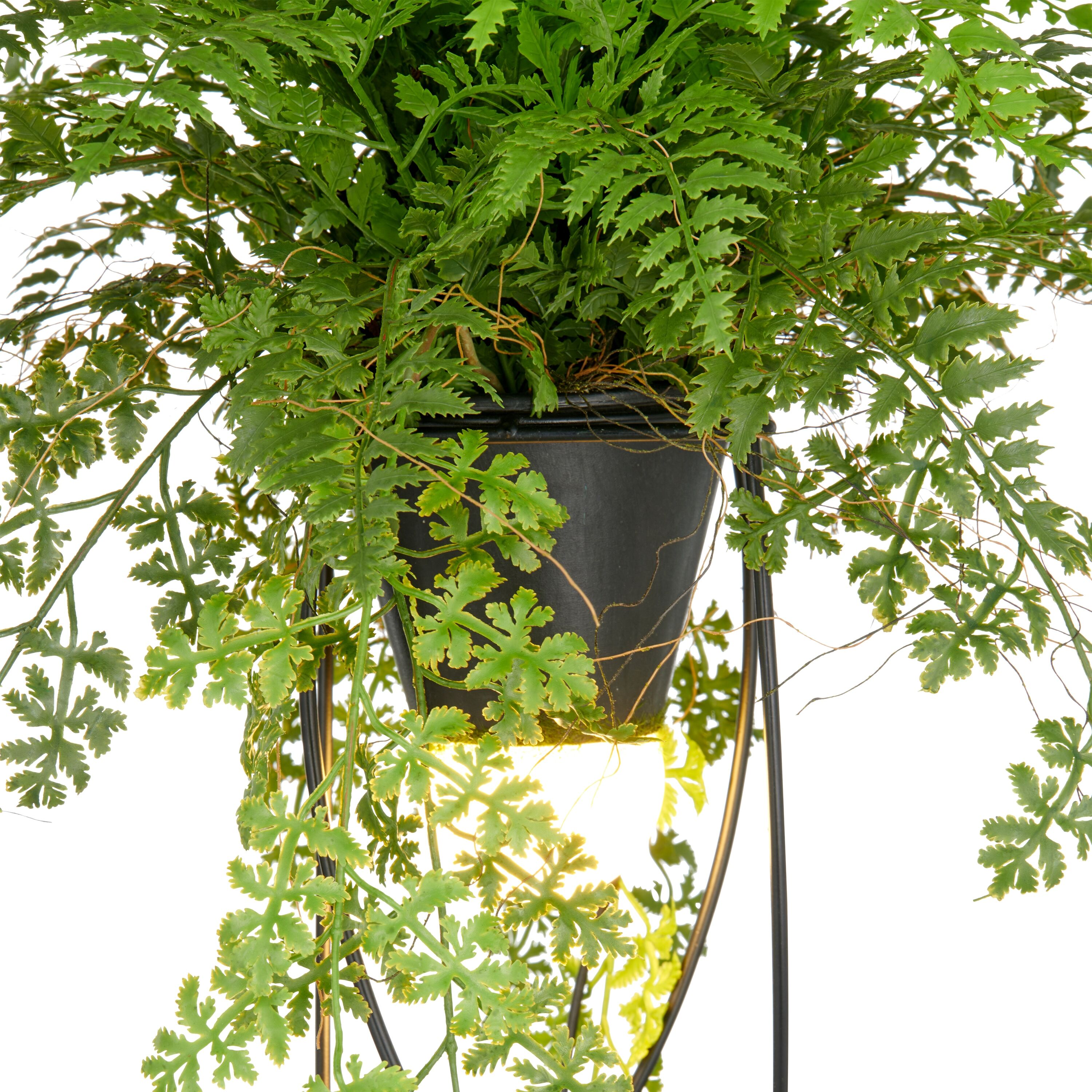 Kunstpflanze CREATIV GREEN "Farn als Dekostandleuchte", grün, H:60cm, Kunststoff, Kunstpflanzen, Kunstpflanze, mit LED-Beleuchtung