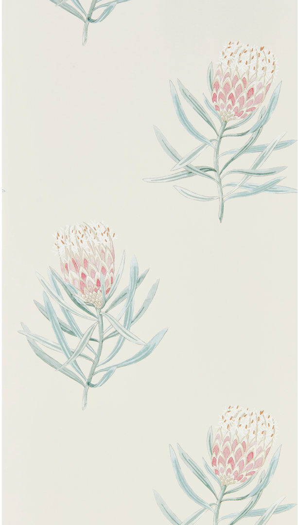 Sanderson Protea Flower Neutral/Red/Green 1,005cm L