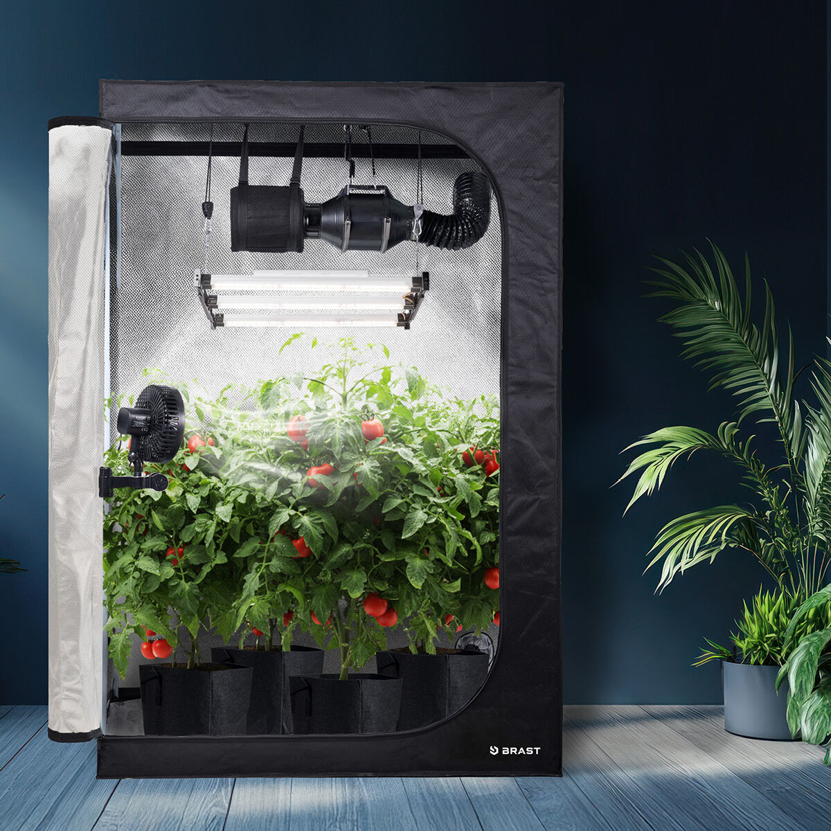 BRAST GrowCube XXL Komplettset