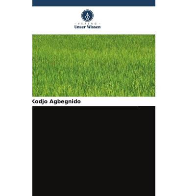 Wettbewerbsfähigkeit der Vertriebskanäle für lokalen Reis in Togo, Taschenbuch von Kodjo Agbegnido, Verlag Unser Wissen