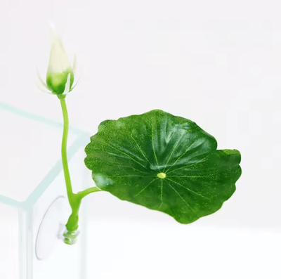 Inspire Curations Betta Fish Leaf Hammock With Suction Cup Aquarium Decor a3