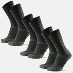 CLASSIC WANDER CREW SOCKEN - 3-Pack - Grün - 35-38