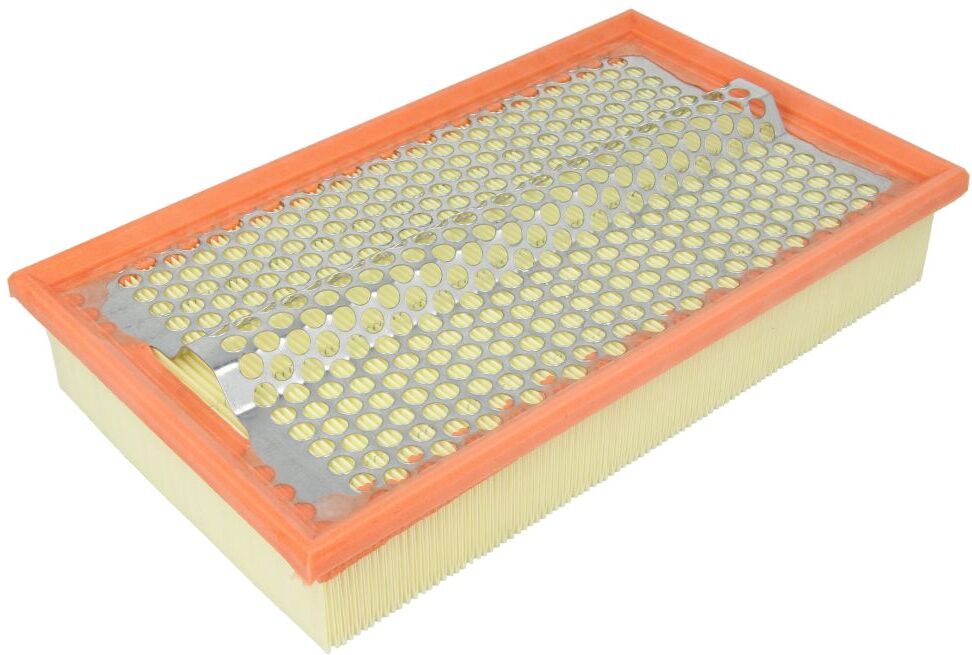 Filtron Filtro aria AP010
