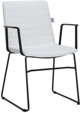 LeisureMod Zylar Modern Ergonomic Sled Base Guest Office Chair with Arms, Powder Coated Frame