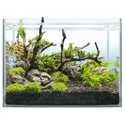 sera Hardscape Shrimp