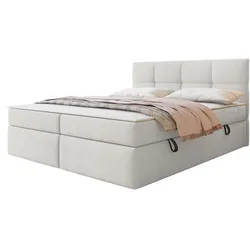 BOXBETT Figaro - H3
