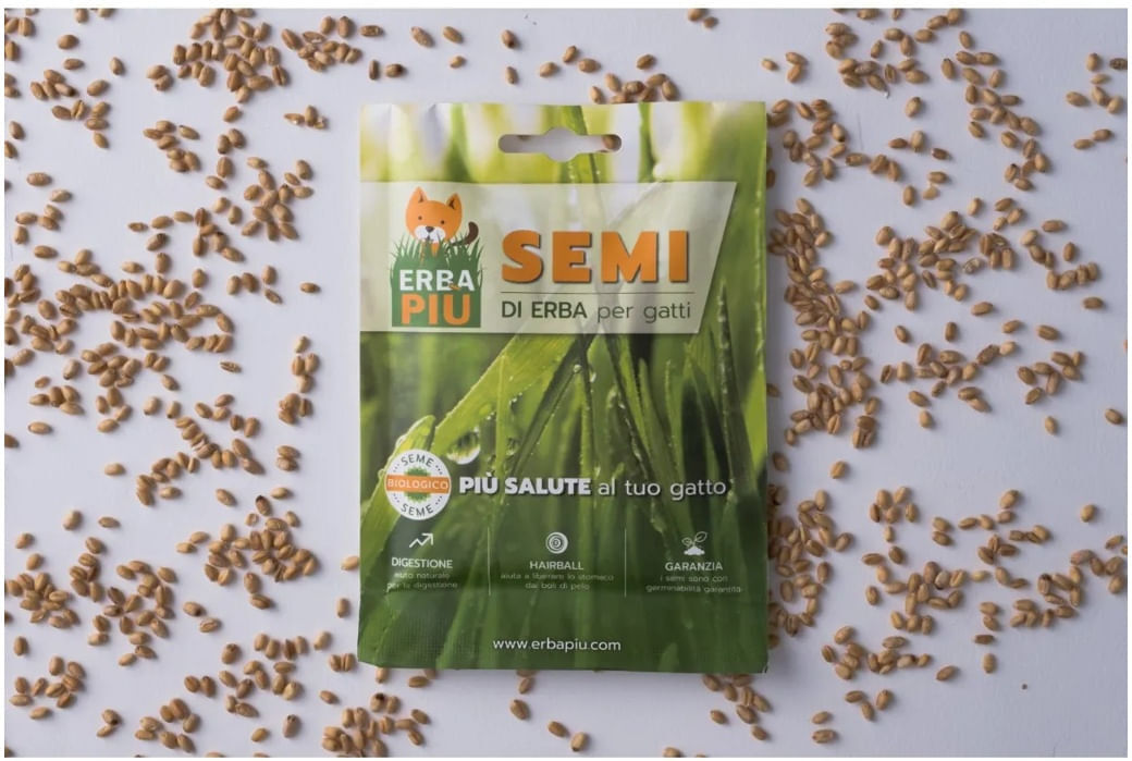 ERBA PIU Erba Più Semi di Erba per Gatto KIT 3X40G
