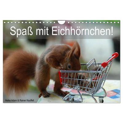 Spaß mit Eichhörnchen! (Wandkalender 2026 DIN A4 quer), CALVENDO Monatskalender