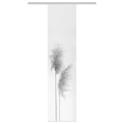 Schmidt Schiebevorhang Irlos 60 x 260 cm Polyester Grau