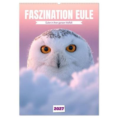 Faszination Eule - Eulen in ihrer ganzen Vielfalt (Wandkalender 2027 DIN A2 hoch), CALVENDO Monatskalender