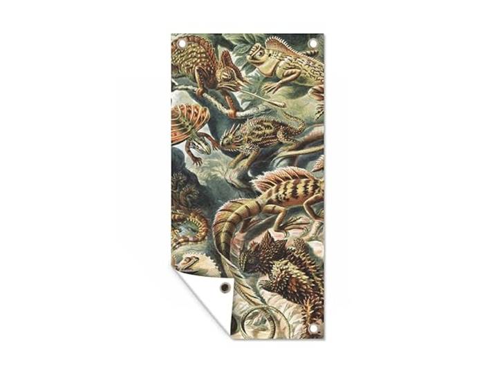 Tuinposter - 80x160 cm - Vintage - Kunst - Ernst Haeckel - Salamanders - Dieren