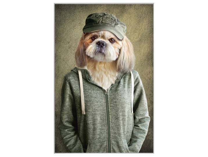 Bild mit Rahmen Witziger Hund mit Jacke image LAND
