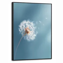 LEINWAND Bilder mit Rahmen - Löwenzahn - Wind - Blau - 60x80