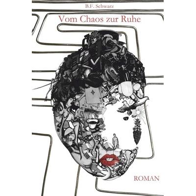 Vom Chaos zur Ruhe, Taschenbuch von B.F. Schwarz, Buchschmiede, 978-3-99181-418-4