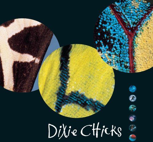 Dixie Chicks - Fly - Preis vom 04.10.2026 03:51:26 h