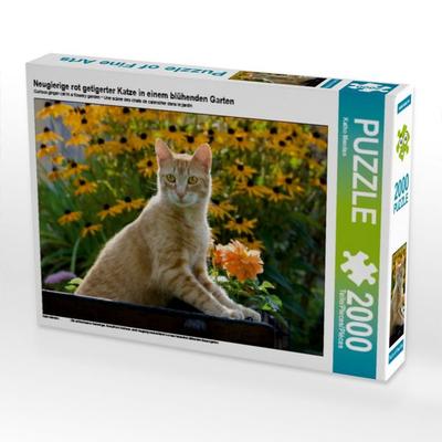 Neugierige rot getigerter Katze in einem blühenden Garten (Puzzle)