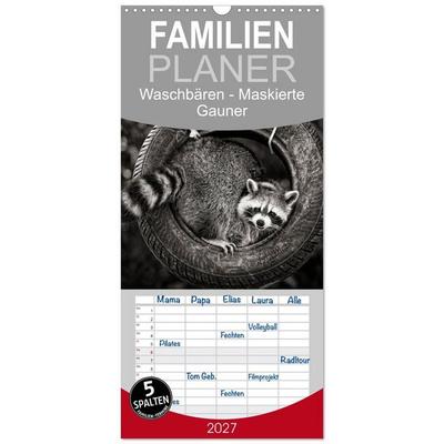 Familienplaner 2027 - Waschbären - Maskierte Gauner mit 5 Spalten (Wandkalender, 21 x 45 cm) CALVENDO