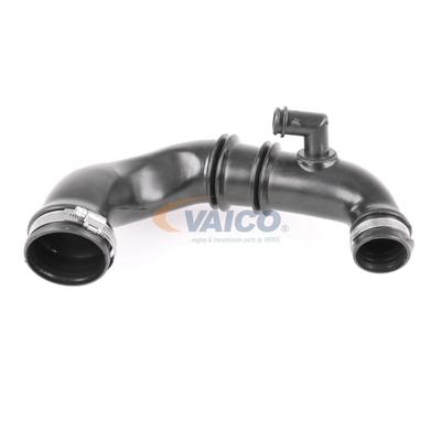 VAICO Ladeluftschlauch RENAULT,DACIA V46-0824 8200331958