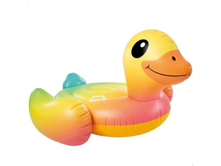 Intex Ride-on beëindigen