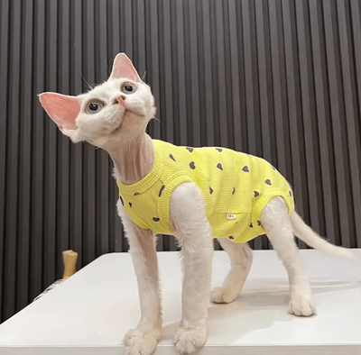 Inspire Curations LoveCloud Lightweight Sphynx Cat Pajamas yellow m