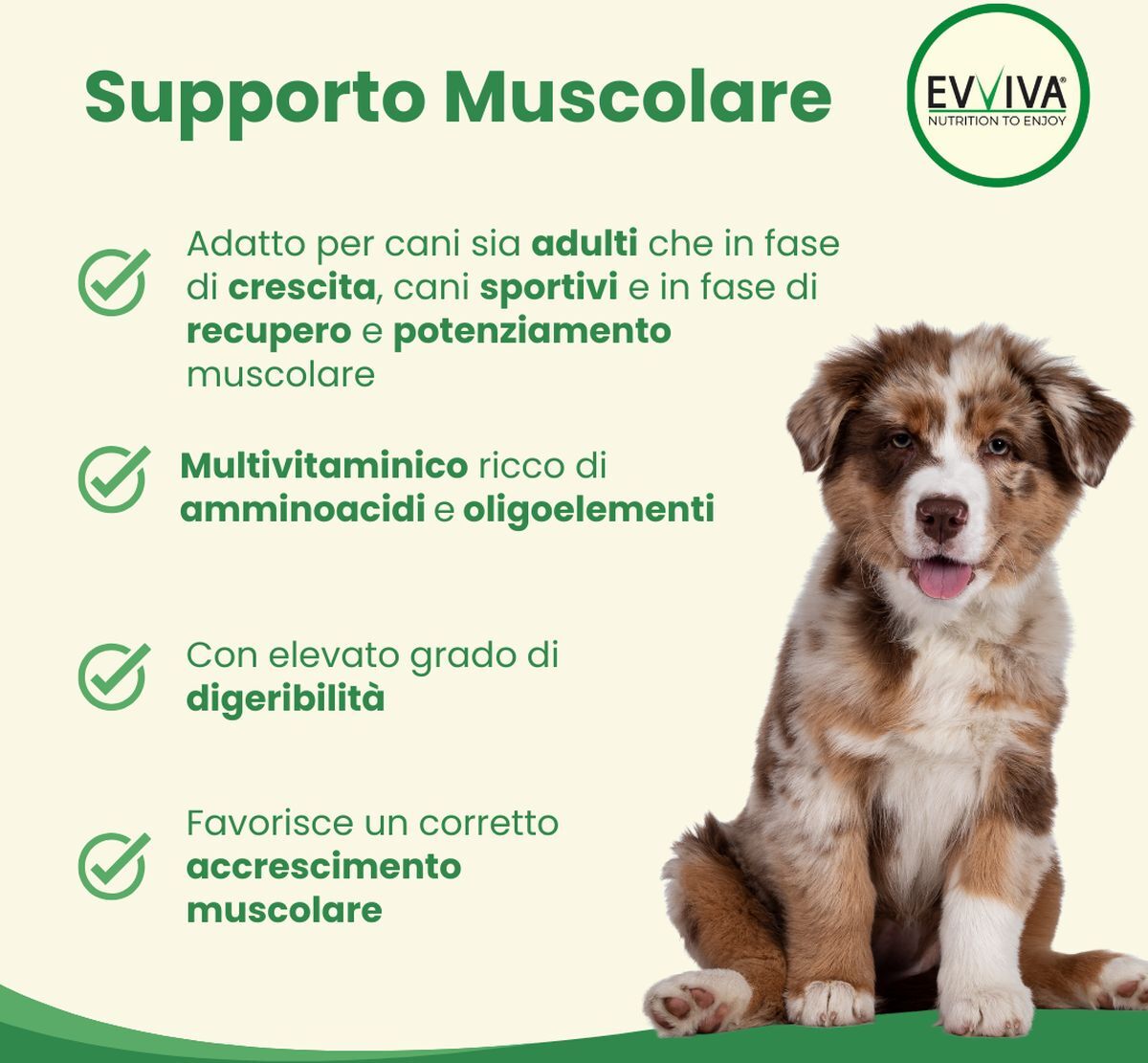 Evviva Pet Nutrition to Enjoy Basic Protein 100G