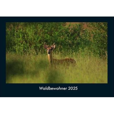 Waldbewohner 2025 Fotokalender DIN A4