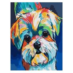 Koh-i-Noor Malen nach Zahlen 40x50cm Regenbogenhund (65455357)