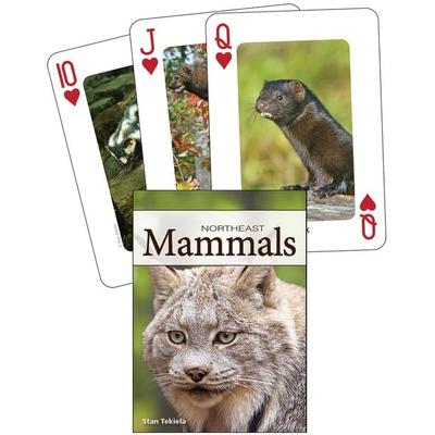 Mammals of the Northeast Playing Cards