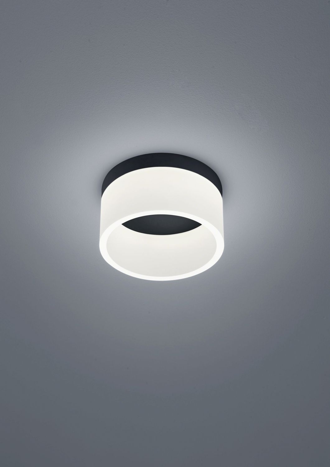 Helestra LED-Deckenleuchte LIV schwarz 20cm 15/1632.22 4022671115216