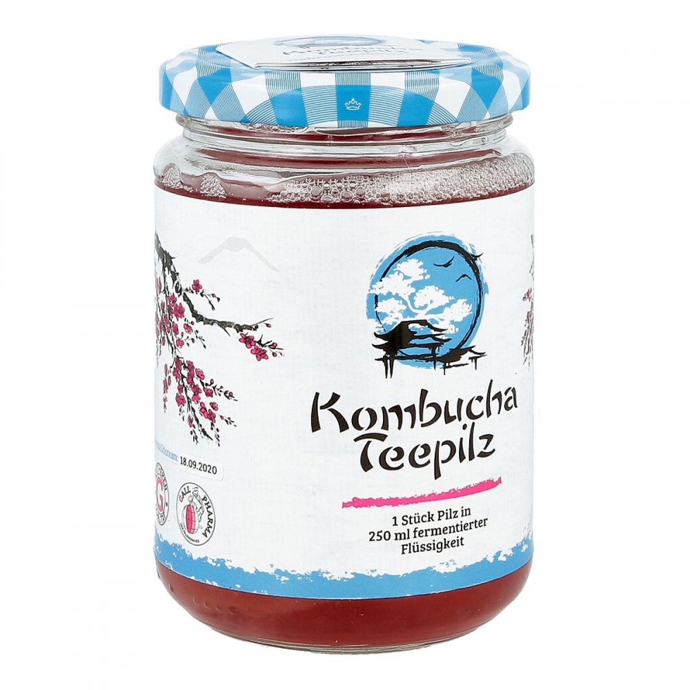 Hecht-Pharma GmbH Kombucha Teepilz 01688955
